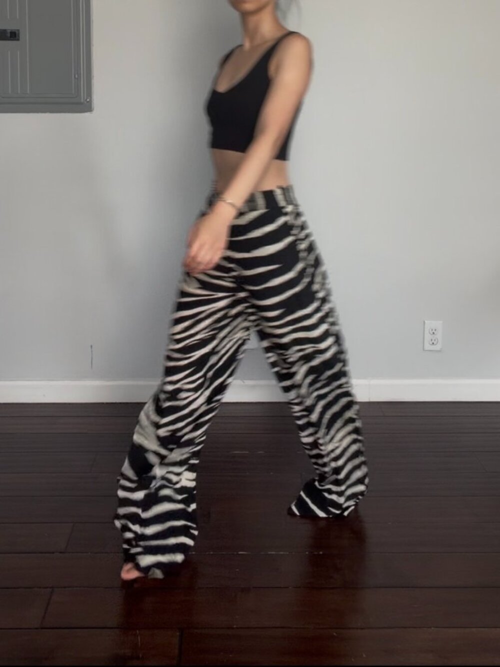 Zadig & Voltaire Pin Zebra Print Trousers